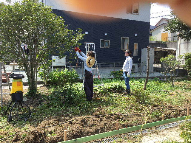 好きだから・・と。_f0031037_20060269.jpg