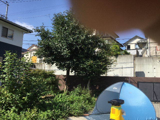 好きだから・・と。_f0031037_20075967.jpg