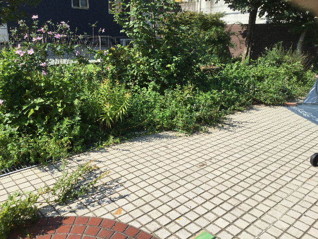 好きだから・・と。_f0031037_20083993.jpg