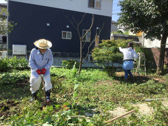 好きだから・・と。_f0031037_20091467.jpg