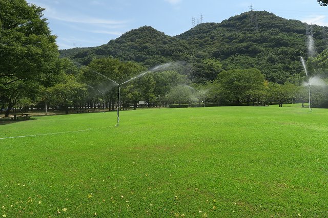 a0242438_20081409.jpg