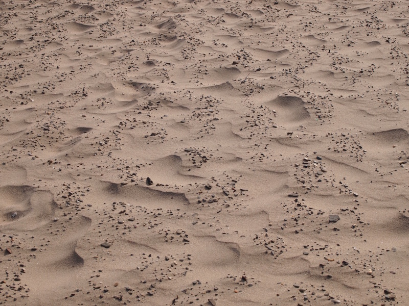 e0211739_23012903.jpg