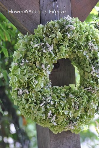 アナベル シルバーキャットのリース Flower Firenze アナベル シルバーキャットのリース Flower Firenze