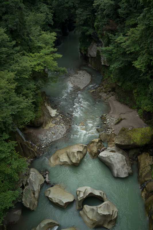 d0342652_11432826.jpg