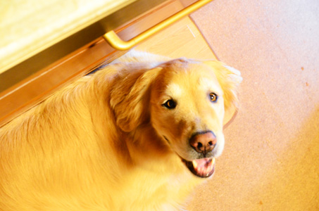 f0044853_1231401.jpg
