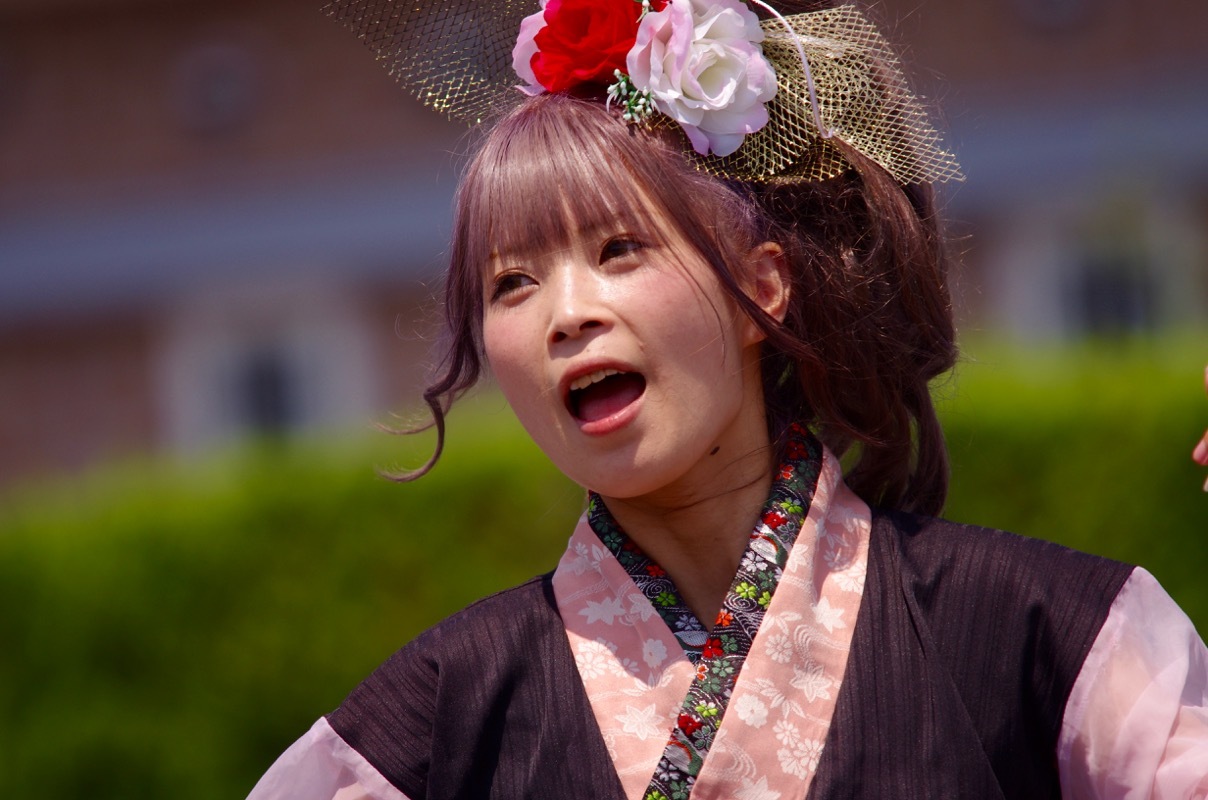 1440x956 gallerynova.se 54 ２０１６斐川だんだんよさこいその３（HIKAWA jeune） : ヒロパンのよさこいライク・N-VANライフ