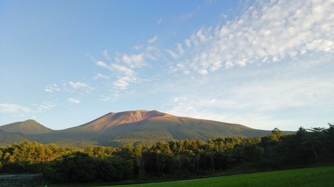 b0045357_9502429.jpg