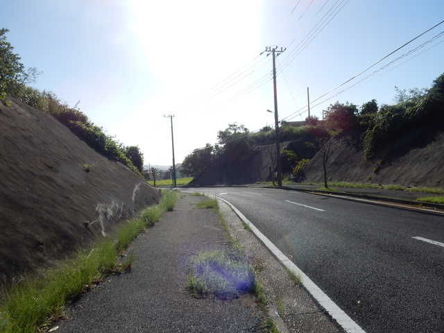 ’１６，９．１（木）車の横転事故とカラスウリ！_f0060461_10452924.jpg