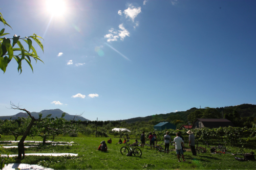 自転車洞爺湖1周&中島カヌー探索1泊2日Campツアー_d0197762_07021402.jpg