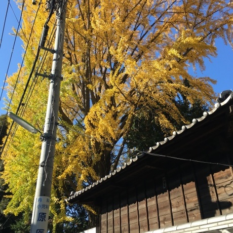 f0361163_00180445.jpg