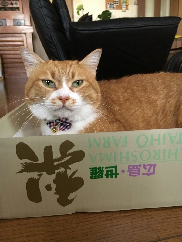 f0363168_20011823.jpeg