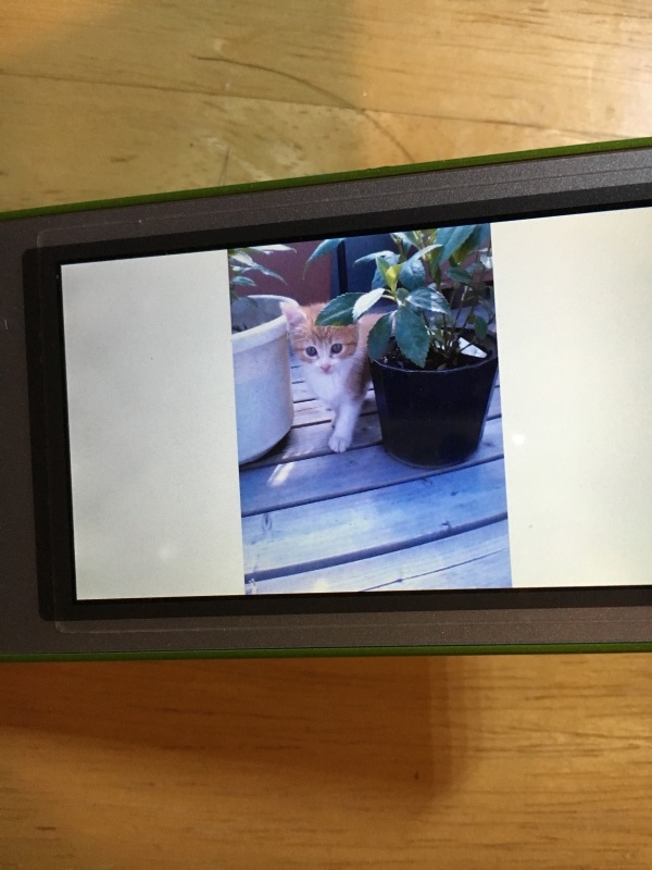 f0363168_20040452.jpeg