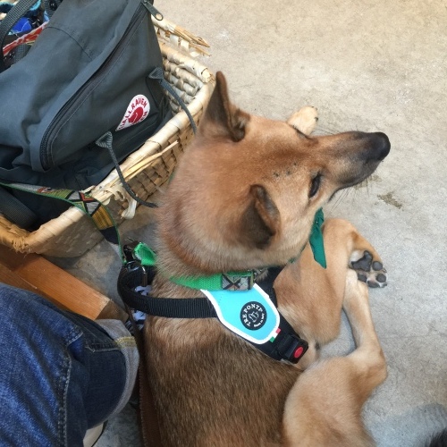 c0364176_18043956.jpeg