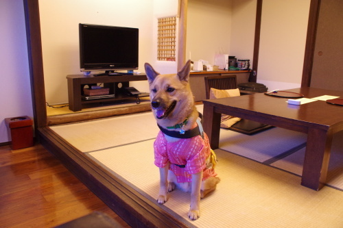 c0364176_18263413.jpeg