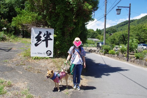 c0364176_18361468.jpeg