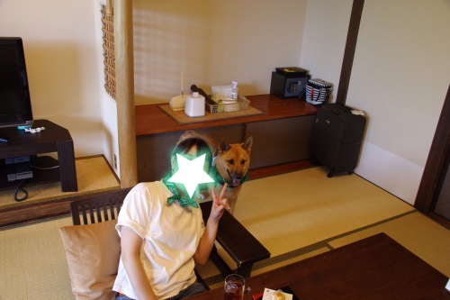 c0364176_18380916.jpeg