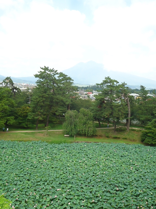 a0199979_2084040.jpg