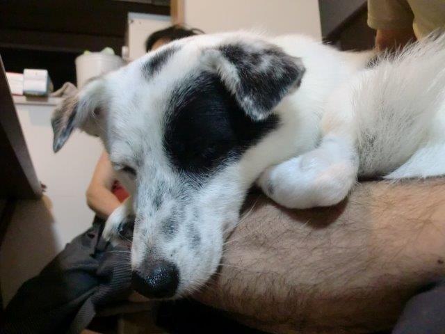a0322483_22542239.jpeg