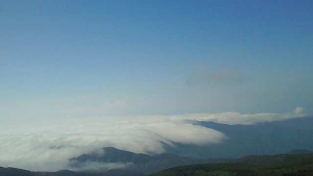 a0049287_13215510.jpg