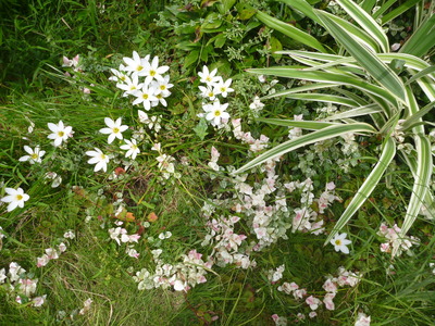 c0096287_18241765.jpg