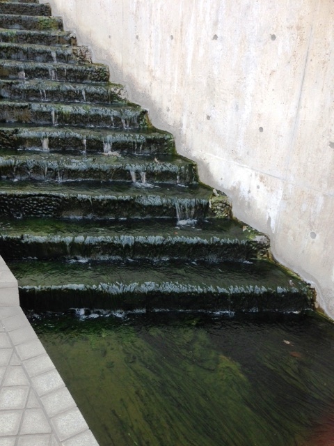 c0310987_13233735.jpg