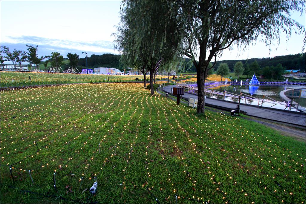 d0353401_16213941.jpg
