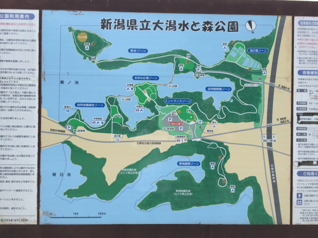 f0144003_13535335.jpg