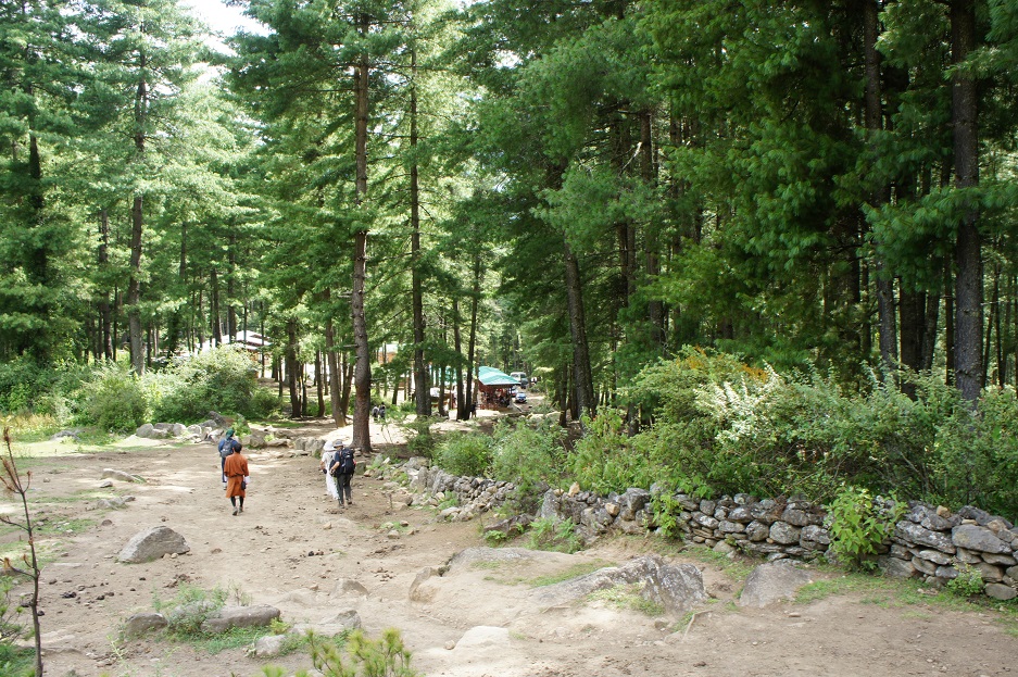 b0112909_1423666.jpg