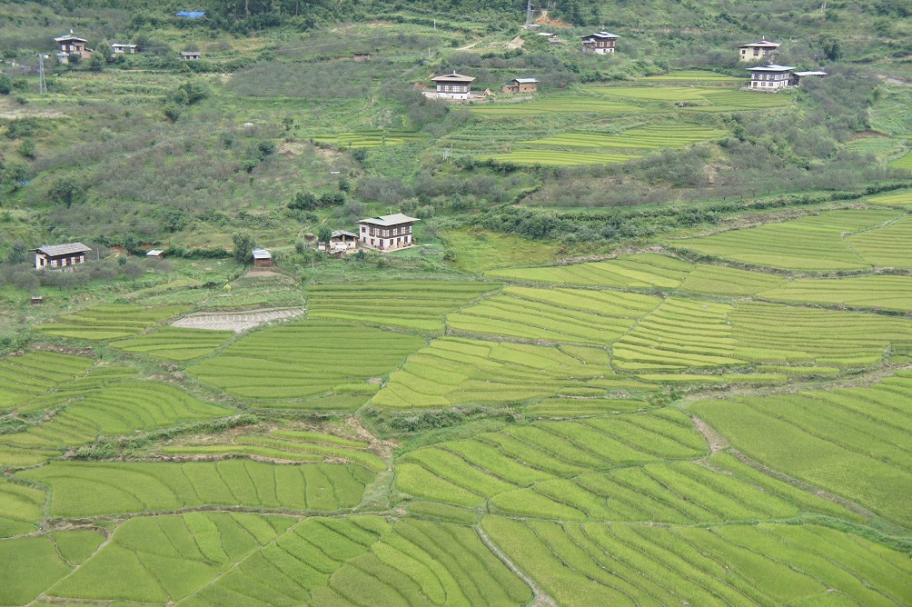 b0112909_17211691.jpg