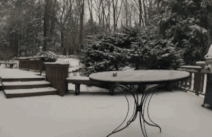 POC2016 《先駆者たち Les prédécesseurs》_c0050810_2137586.gif