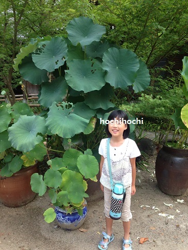 親子で幸せ　ちょっくらふれ旅　２０１６夏　光福寺の朝ヨガ_f0151213_03525098.jpg