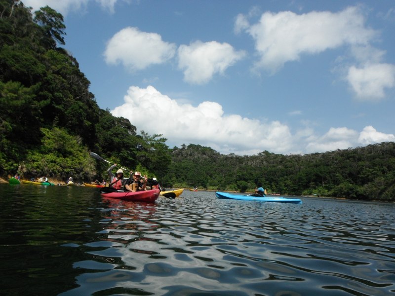 f0121321_16403850.jpg