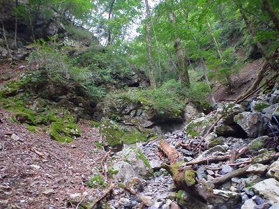 f0193521_822236.jpg