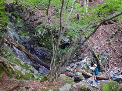 f0193521_8243646.jpg