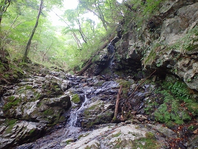 f0193521_8261288.jpg