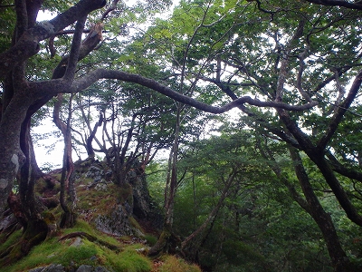 f0193521_8291845.jpg