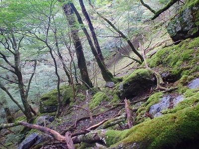 f0193521_8294828.jpg