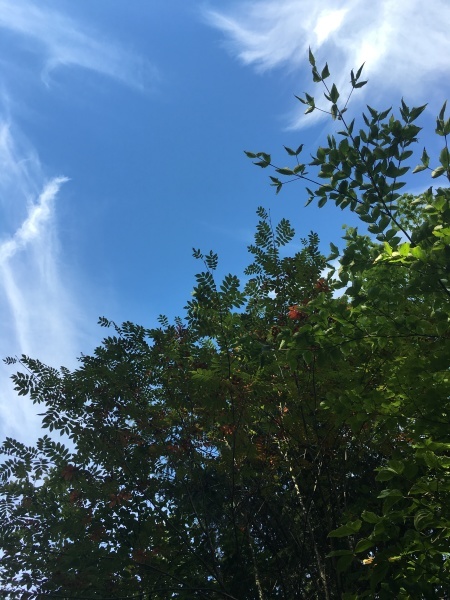 b0174425_09451404.jpg