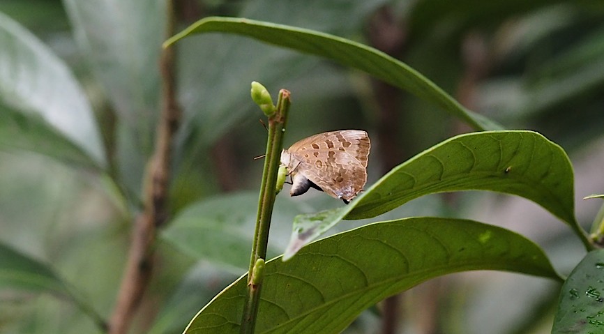 d0303129_22833.jpg