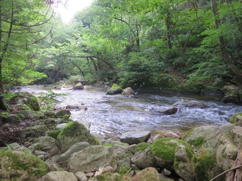 e0198329_10322627.jpg