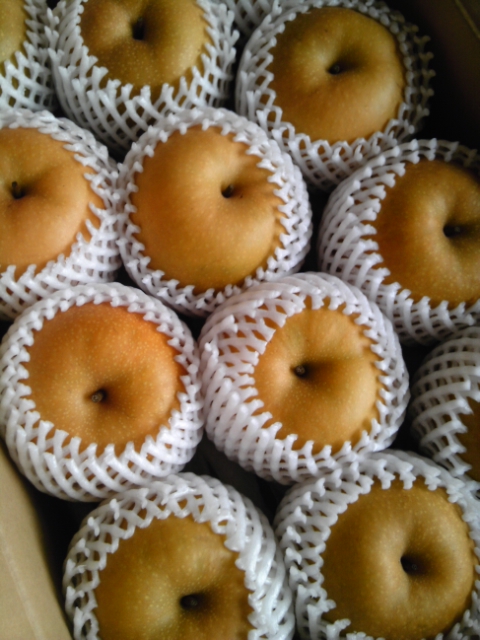 ごきげんな梨たちが届きました♪_b0204930_167387.jpg