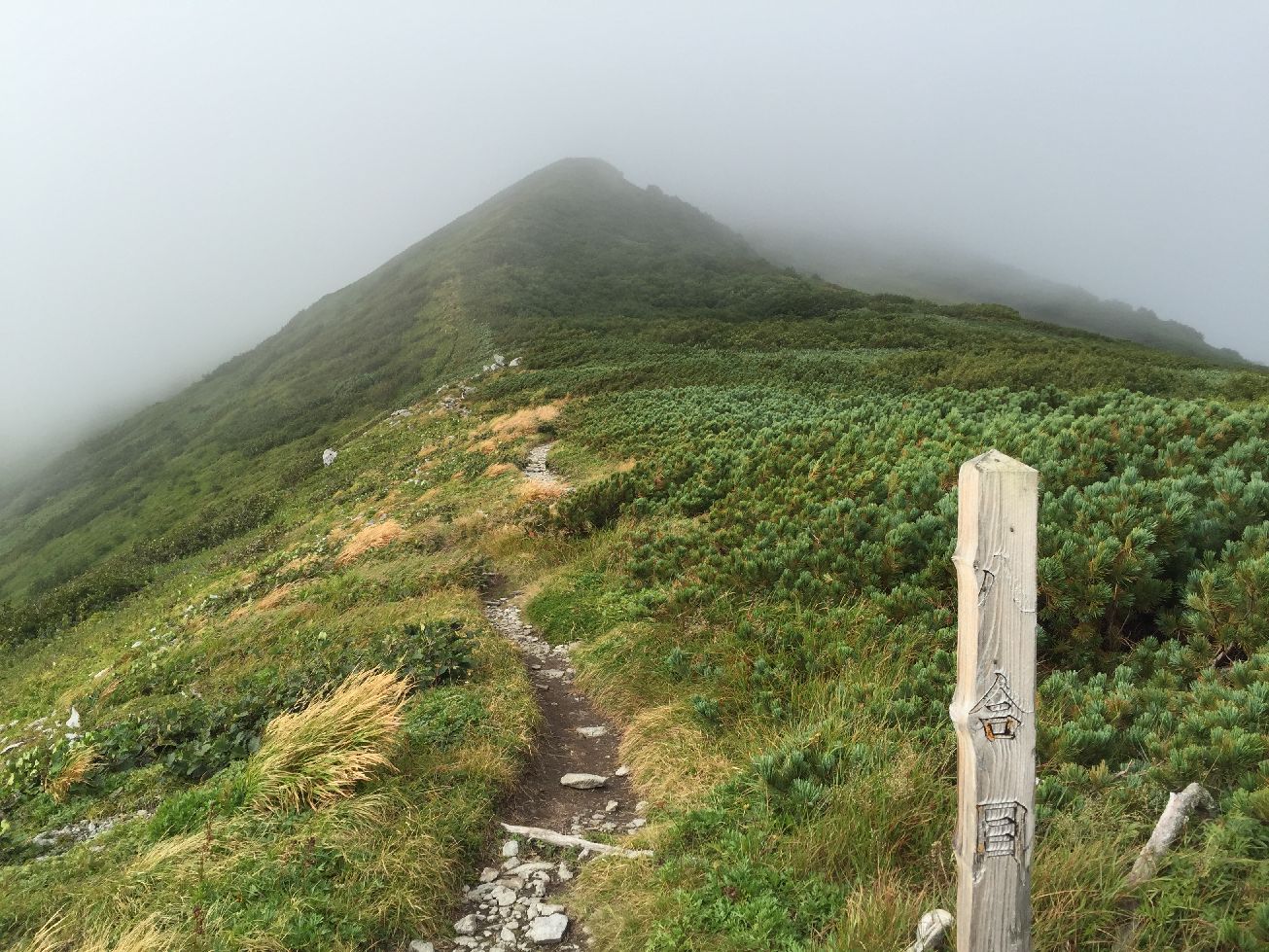 b0187142_22442360.jpg