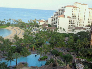 a0157047_943362.jpg