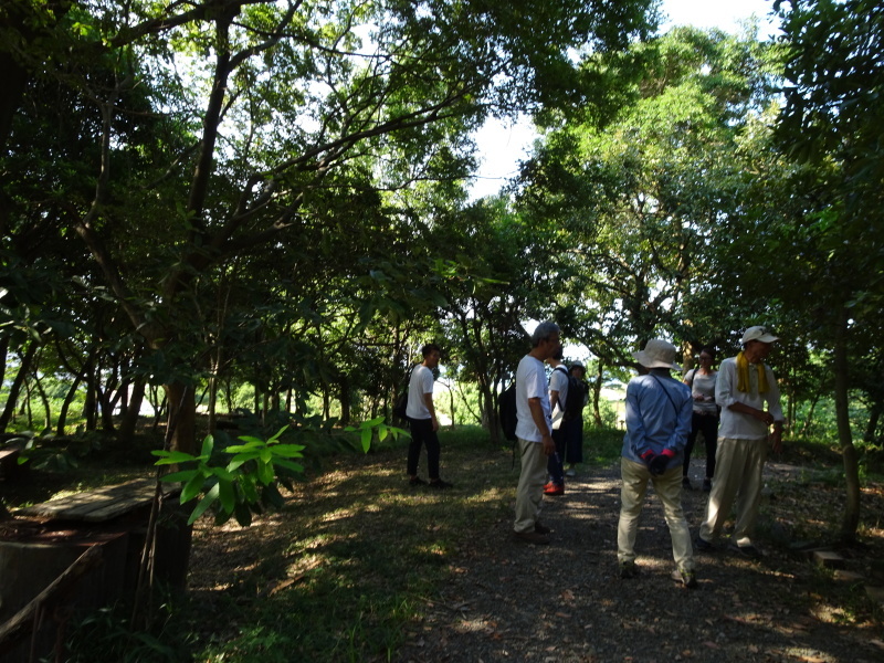 東光小学校の先生が遠足下見にやってきた・・・うみべの森_c0108460_21415984.jpg