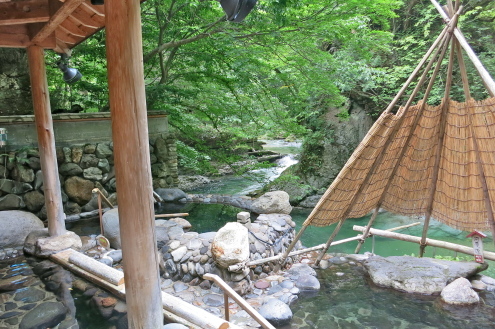 でん地方版日帰り温泉_c0260460_21430909.jpg