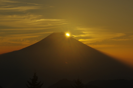 d0229560_20155999.jpg