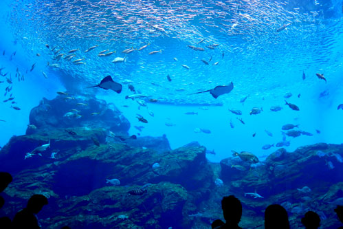 c0050264_23184099.jpg