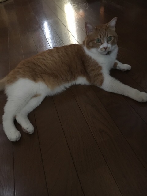 f0363168_08215122.jpeg