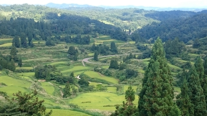 f0157572_08270277.jpg
