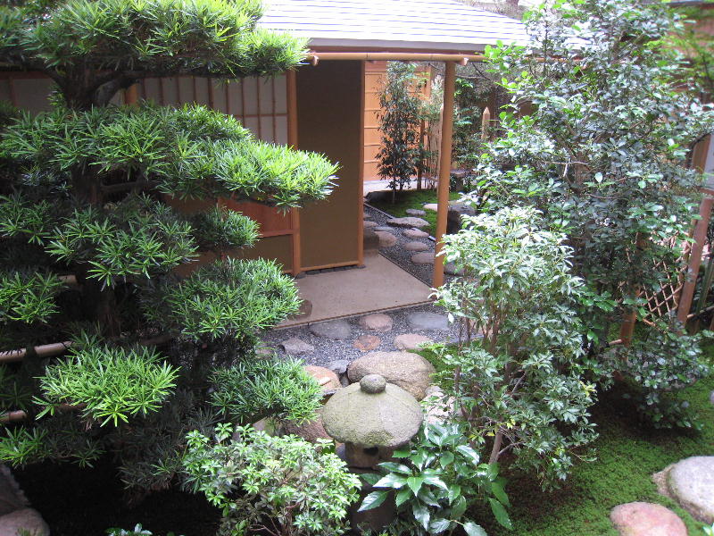 中庭に植える木 461249中庭に植える木 風水 lawjpgazo